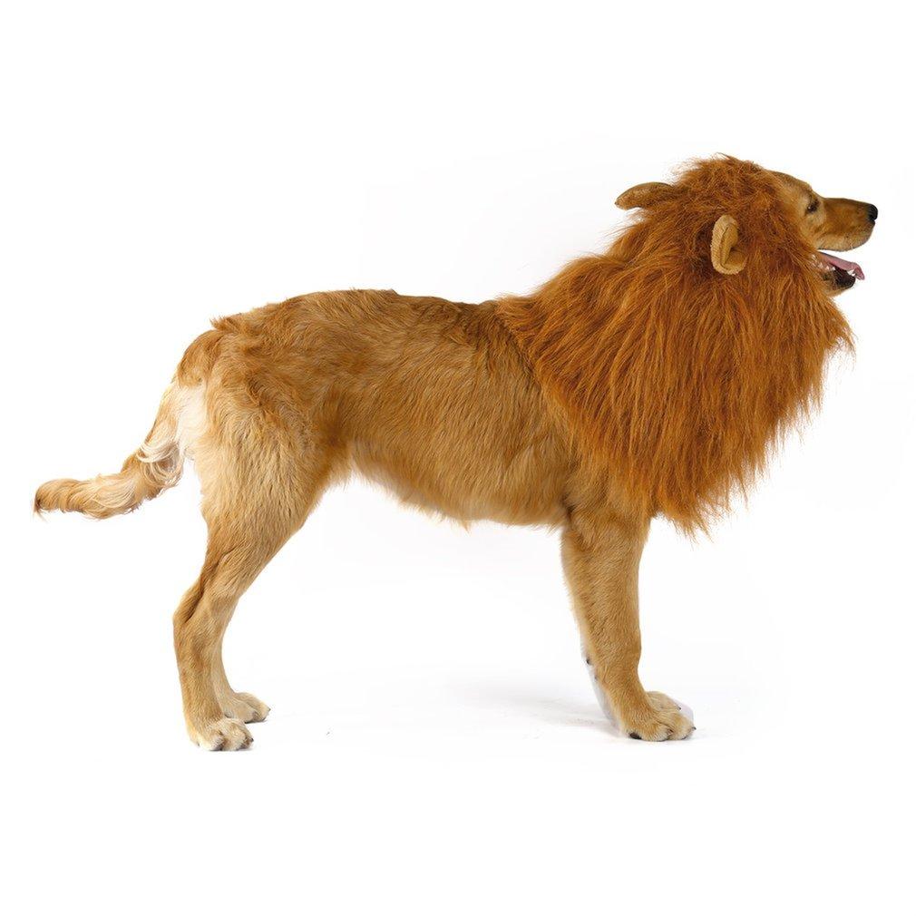 Lion Theme Dog Wig - BestyPaws