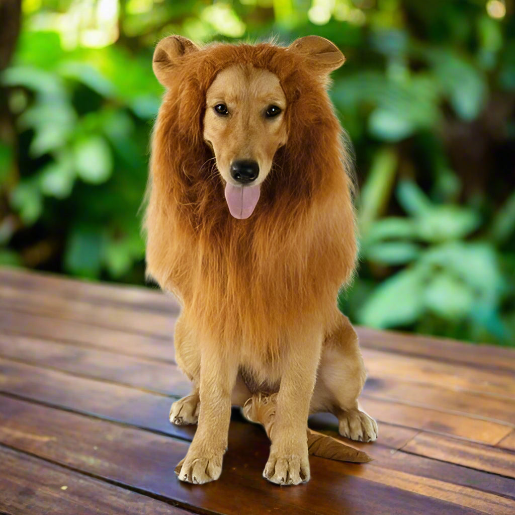 Lion Theme Dog Wig - BestyPaws