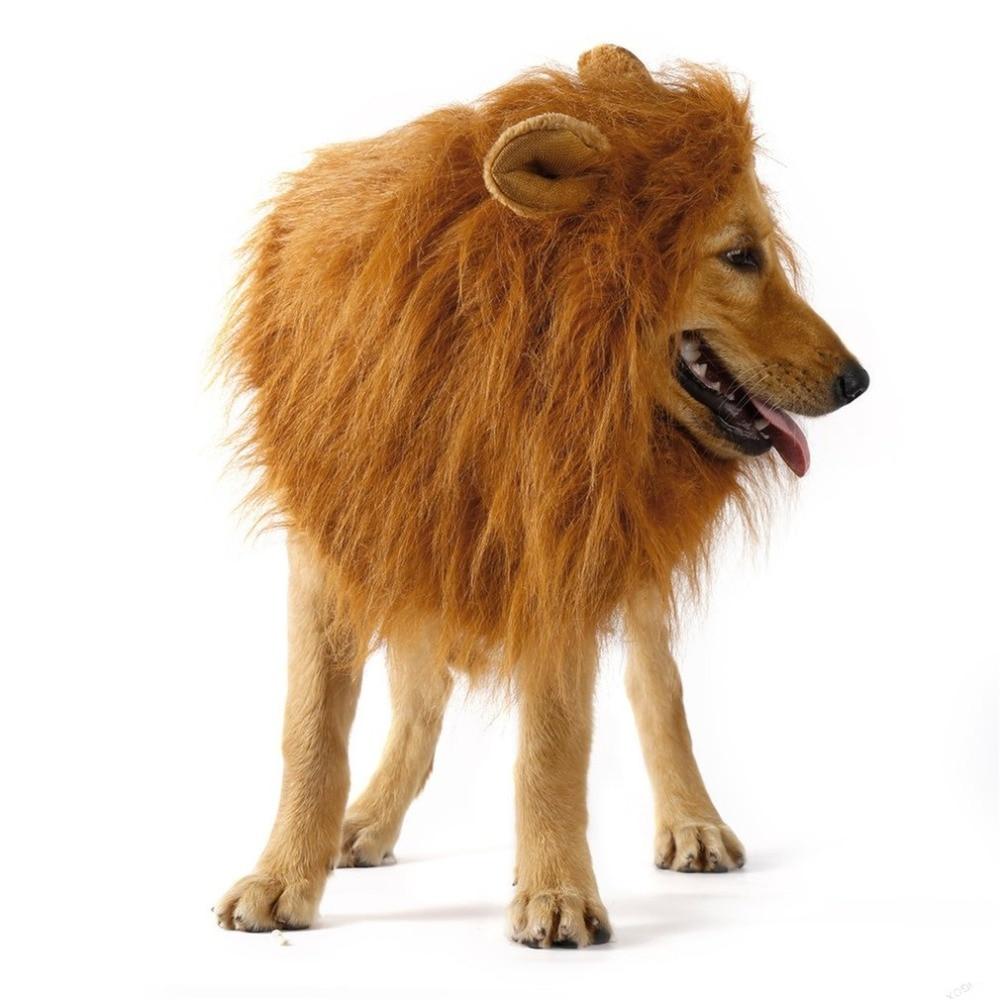 Lion Theme Dog Wig - BestyPaws