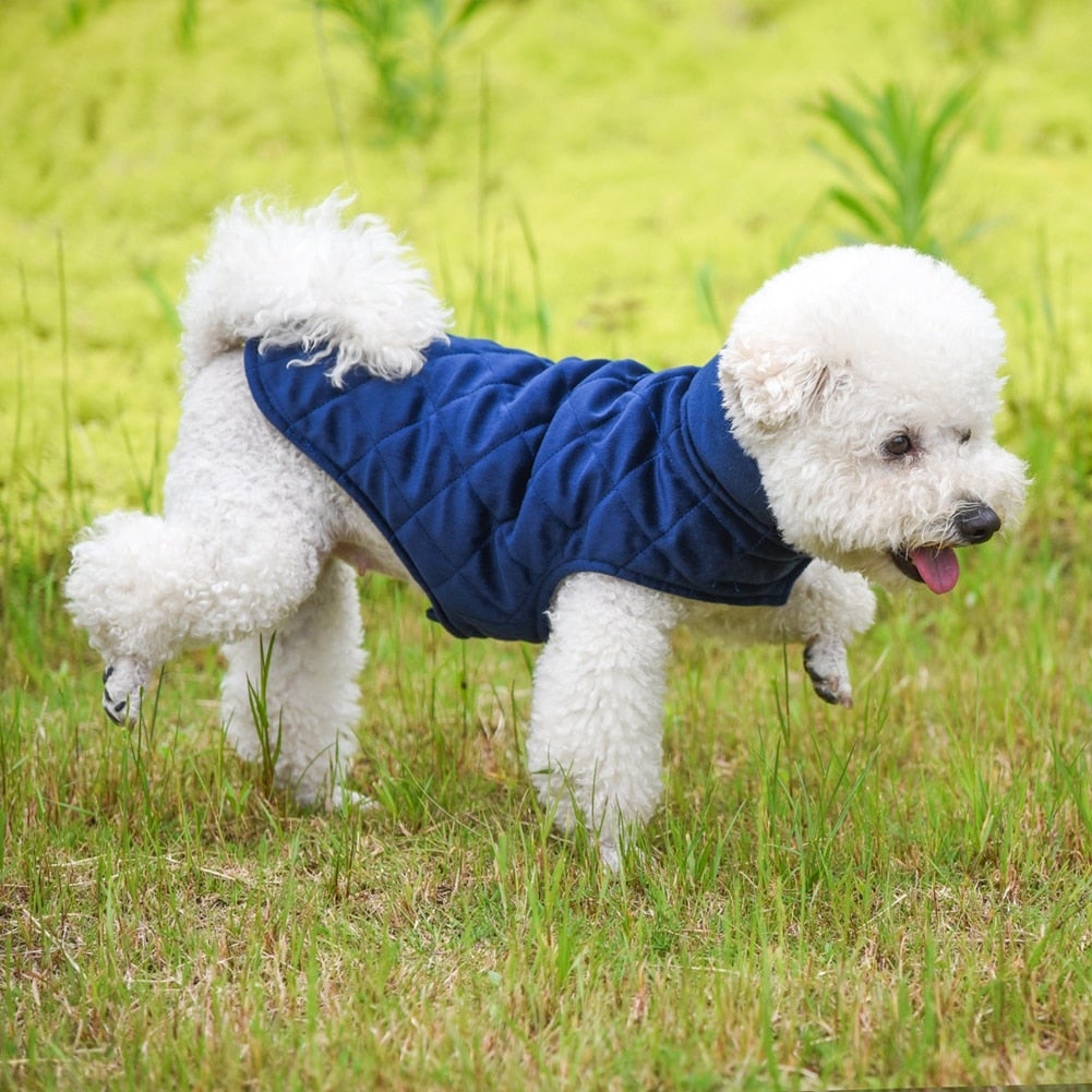 Dogs Winter Warm Vest - BestyPaws