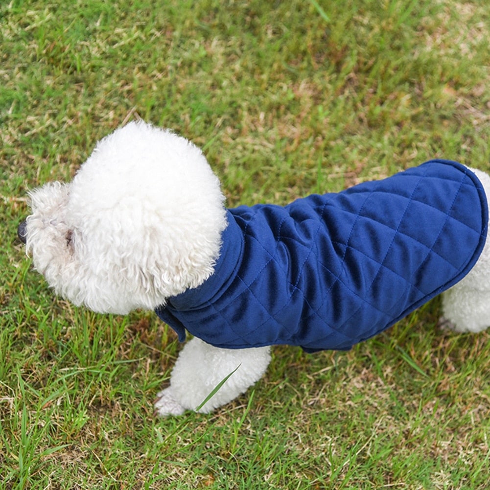 Dogs Winter Warm Vest - BestyPaws