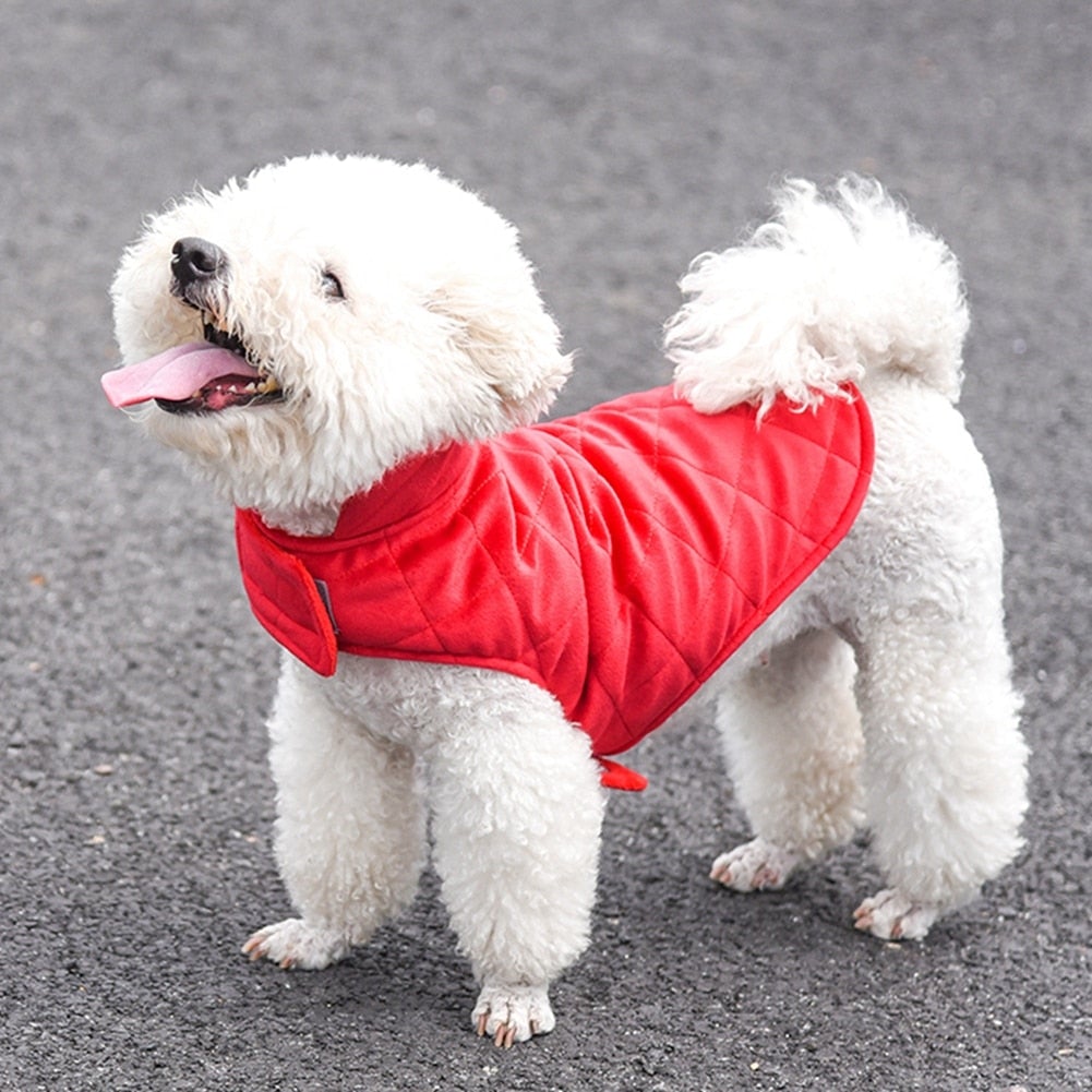 Dogs Winter Warm Vest - BestyPaws
